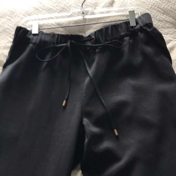Eileen Fisher black joggers with ankle zippers - Picture 4 of 10